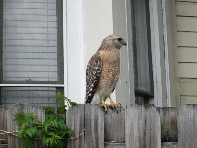 2018-03-25 06.57.49.jpg